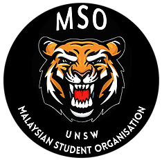 UNSW MSO